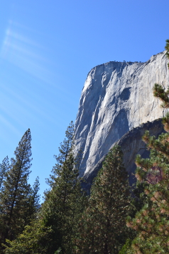 Holidays to Yosemite National Park with Escape Worldwide
