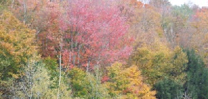 Holidays to New England with Escape Worldwide