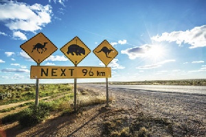 Holidays to Australia with Escape Worldwide - Nullarbor SA (copyright Greg Snell)