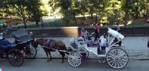 Holidays to New York with Escape Worldwide