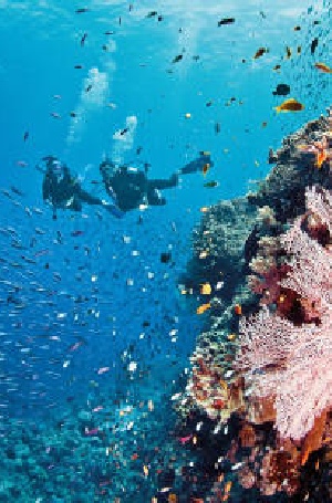 Holidays to Australia with Escape Worldwide - Great Barrier Reef (copyright Tourism and Events Queensland)