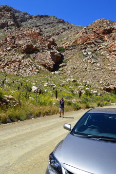 Eastern Cape Safari & the Garden Route Fly-Drive Holidays