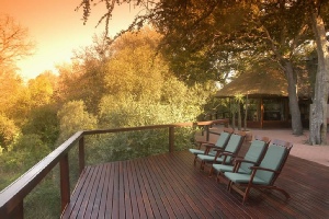 Holiday to the Thornybush Nature Reserve, Kruger, South Africa