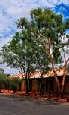 Holidays to the Kings Canyon Resort Australia