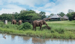 Holiday to the Hippo Hollow Country Estate, Hazyview Panorama Route