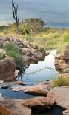 Holiday to Sabi Sabi Game Reserve, Kruger, South Africa