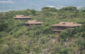 Holiday to the Kariega Game Reserve, Eastern Cape, South Africa