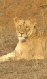 Twin and multi centre holidays to South Africa