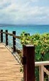 Holiday to The Jewel Paradise Cove, Jamaica
