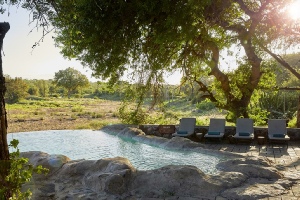 Holiday to the Motswari Private Game Reserve, Kruger, South Africa