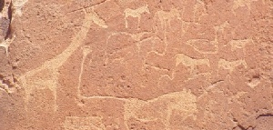 Holiday to Damaraland, Twyfelfontein and Northern Namibia