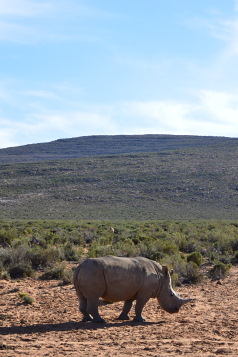 Introduction to the Western Cape Fly-Drive Holidays