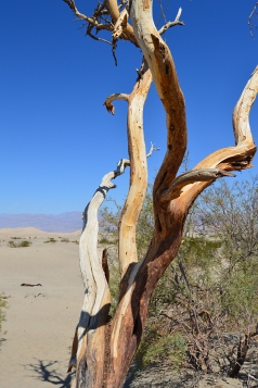 Holidays to Death Valley and Mammoth Lakes with Escape Worldwide