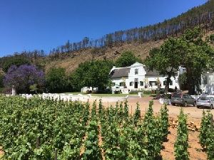 Dubai, Cape Town and the Garden Route Fly-Drive Holiday