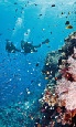 Holidays to Australia with Escape Worldwide - Great Barrier Reef (copyright Tourism and Events Queensland)