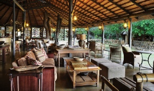 Holiday to the Motswari Private Game Reserve, Kruger, South Africa