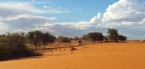 Holiday to the Fish River Canyon, Kalahari Desert and Southern Namibia