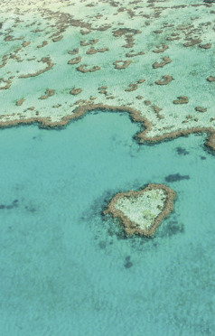 Holidays to Australia with Escape Worldwide - Great Barrier Reef (copyright Tourism Whitsundays)