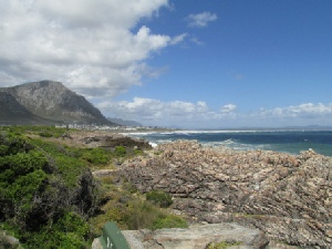 Cape Town, Garden Route & Eastern Cape Safari Fly-Drive Holidays