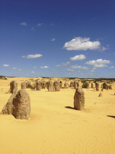 Holidays to Australia with Escape Worldwide - The Pinnacles (copyright Tourism Australia)
