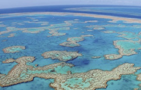 Holidays to Australia with Escape Worldwide - Great Barrier Reef QLD (copyright Tourism Whitsundays)