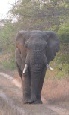 Twin and multi centre holidays to South Africa