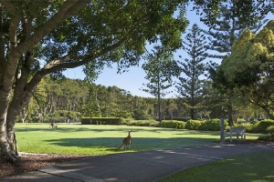 Holidays to the Novotel Twin Waters Resort Sunshine Coast Australia