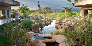 Holiday to Sabi Sabi Game Reserve, Kruger, South Africa