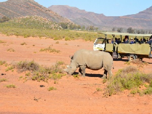 Victoria Falls,Cape Town, the Garden Route and Safari Fly-Drive Holiday