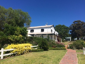 Holiday to the Belvidere Manor Hotel, Knysna, South Africa