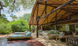 Holiday to the Thornybush Nature Reserve, Kruger, South Africa
