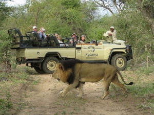 Holiday to the Kapama River Lodge, Kruger, South Africa