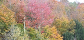 Holidays to New England