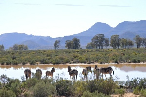 KwaZulu-Natal - Mountains, Battlefields, Wildlife & Coast Fly-Drive Holiday