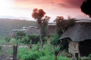 Holiday to the Pumba Private Game Reserve, Eastern Cape, South Africa