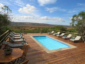 Holiday to the Amakhala Game Reserve, Eastern Cape, South Africa