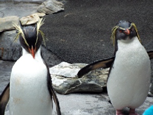 Kruger Safari & Cape Town Twin Centre Holiday
