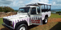 Sightseeing and excursions in Antigua