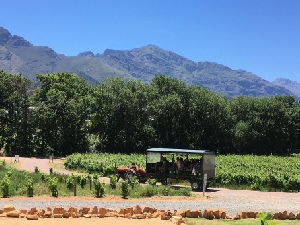Garden Route Explorer Fly-Drive Holidays
