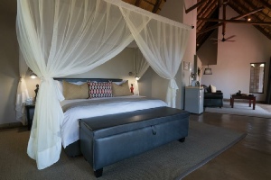 Holiday to Elephant Plains Game Lodge, Kruger, South Africa