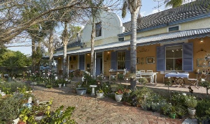 Holiday to the Yellow Aloe Guesthouse, Cederberg Area,  South Africa