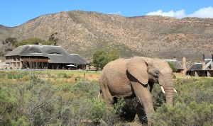 Holiday to the Aquila Private Game Reserve, Western Cape, South Africa