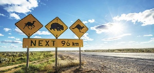 Holidays to Australia with Escape Worldwide - Nullarbor SA (copyright Greg Snell)
