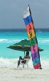 Three centre holiday to New York, Cancun & Miami