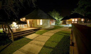 Holiday to Elephant Plains Game Lodge, Kruger, South Africa