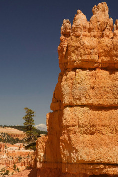 Holidays to Monument Valley, the Grand Canyon and Bryce Canyon with Escape Worldwide