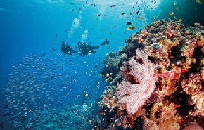 Holidays to Australia with Escape Worldwide - Great Barrier Reef (copyright Tourism and Events Queensland)