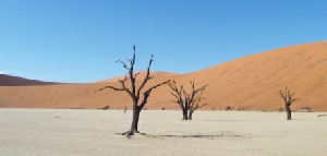 Holiday to Sossusvlei and the Namib-Nakluft National Park, Namibia