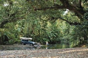 Holidays to Australia with Escape Worldwide - Daintree Rainforest (copyright Tourism Port Douglas and Daintree)