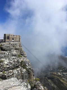 Victoria Falls,Cape Town, the Garden Route and Safari Fly-Drive Holiday